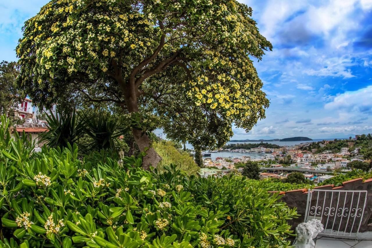 Ferienwohnung Ischia Dream Visions Exterior foto