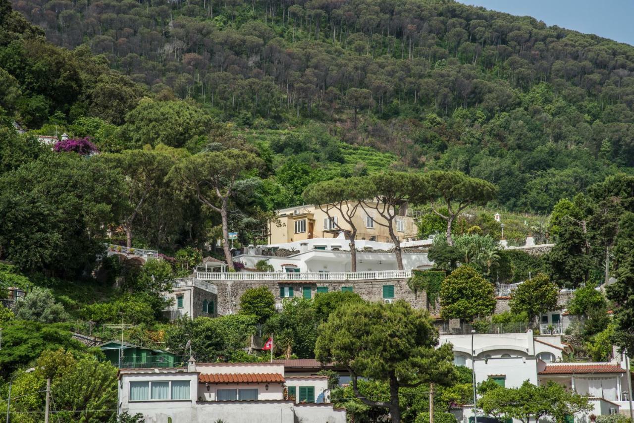 Ferienwohnung Ischia Dream Visions Exterior foto